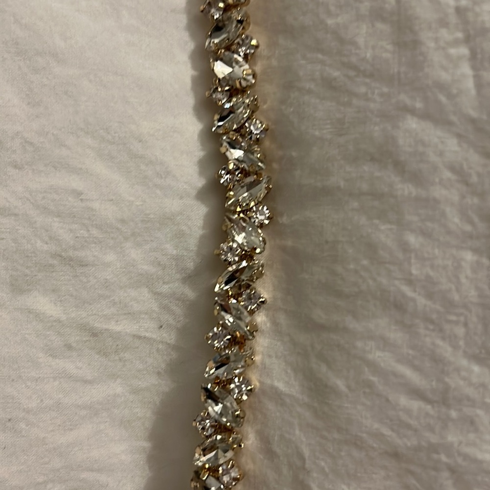 Brand new never worn David’s Bridal jewel belt